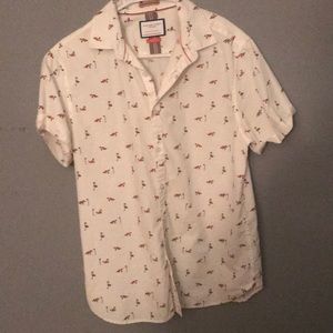 Collard shirt